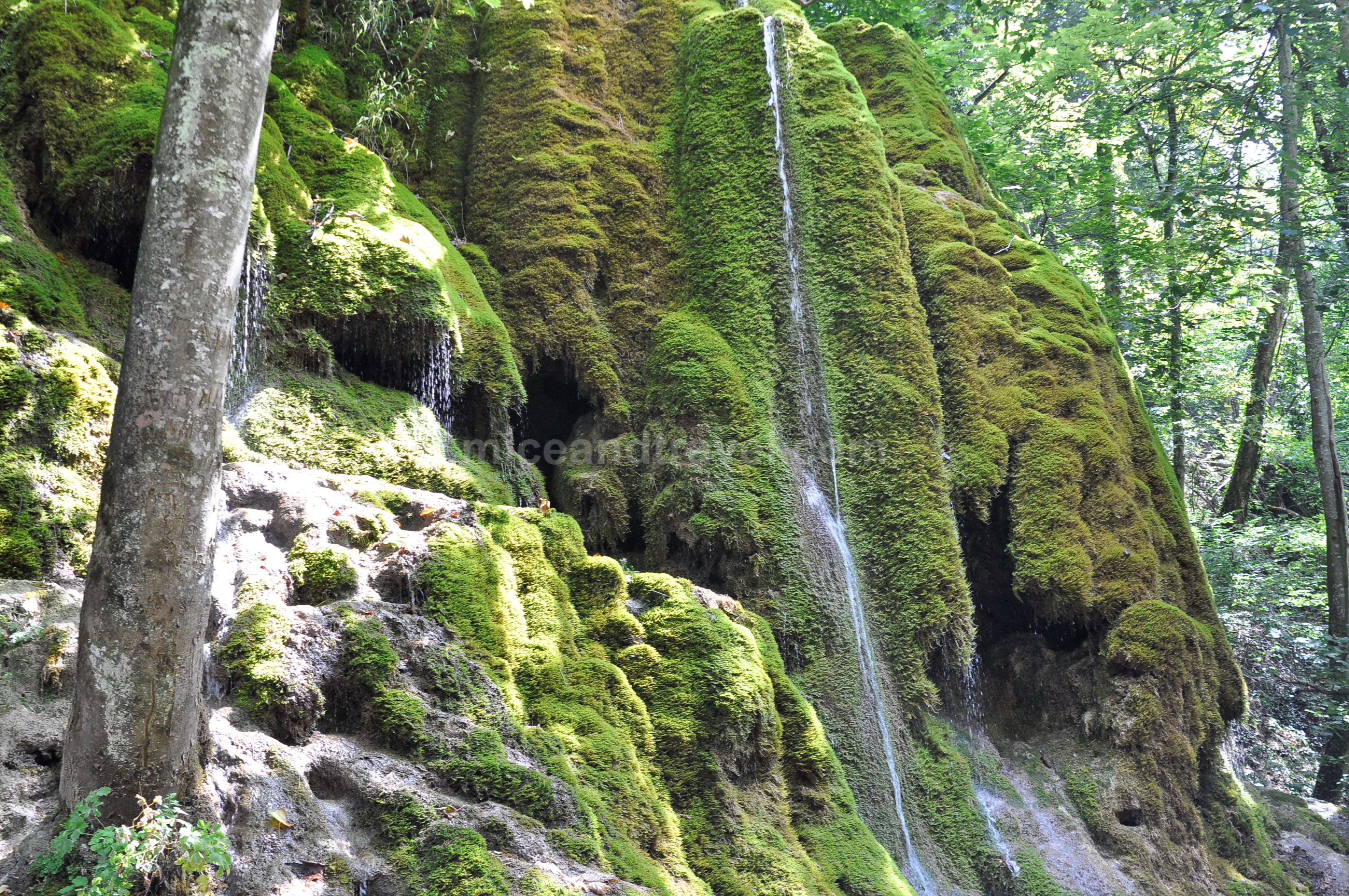 Gakh waterfall